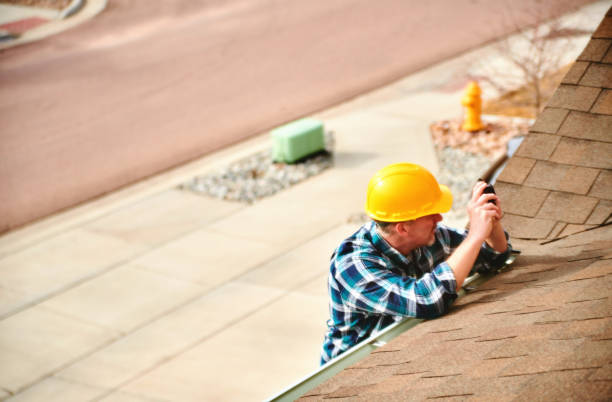 Best Roof Moss and Algae Removal  in Glouster, OH